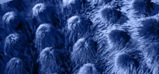Iron filings interacting with magnets
